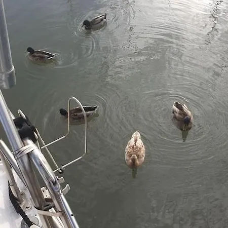 Vacations In A Sailboat Lizbona