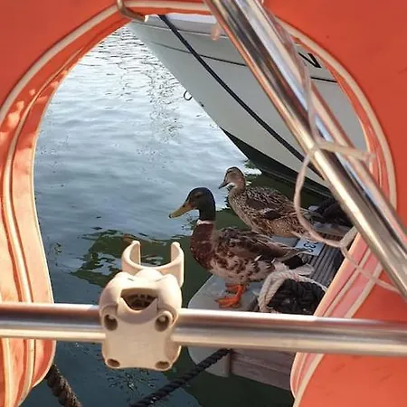 Botel Vacations In A Sailboat Lisboa